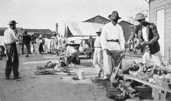 Mercado Infame [1951]